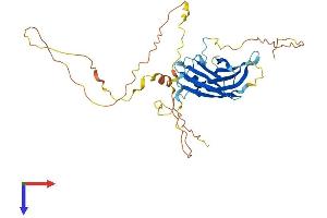 C2 Calcium-Dependent Domain Containing 4D (C2CD4D) (AA 1-353) protein (His tag)