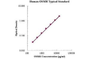 Oncostatin M Receptor (OSMR) ELISA Kit