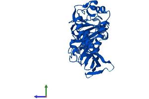 AlphaFold protein structure predicition of Human Recombinant JMJD7 Protein, UniprotID P0C870