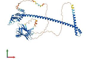 AlphaFold protein structure predicition of Human Recombinant ACBD3 Protein, UniprotID Q9H3P7