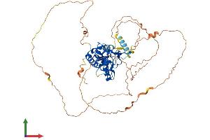 AlphaFold protein structure predicition of Human Recombinant NFIC Protein, UniprotID P08651