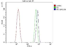 Flow Cytometry analysis of A431 cells using anti-MNT antibody (ABIN7601555). (MNT anticorps  (AA 381-564))