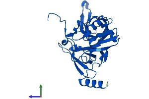 AlphaFold protein structure predicition of Human Recombinant RPS4Y2 Protein, UniprotID Q8TD47