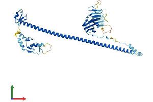 AlphaFold protein structure predicition of Human Recombinant TRIM17 Protein, UniprotID Q9Y577