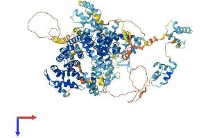 Timeless Homolog (TIMELESS) (AA 1-1208) protein (His tag)