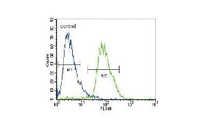 CACNA2D3 Antibody (C-term) (ABIN653695 and ABIN2843014) flow cytometric analysis of HepG2 cells (right histogram) compared to a negative control cell (left histogram). (CACNA2D3 anticorps  (C-Term))