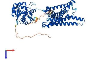 AlphaFold protein structure predicition of Human Recombinant STEAP2 Protein, UniprotID Q8NFT2