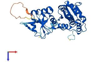 AlphaFold protein structure predicition of Human Recombinant STYXL1 Protein, UniprotID Q9Y6J8