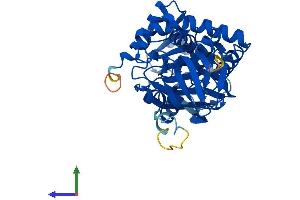 AlphaFold protein structure predicition of Human Recombinant PIPOX Protein, UniprotID Q9P0Z9