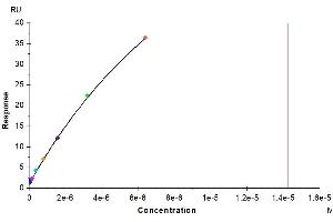 Mouse IL-20RA, hFc Tag captured on CM5 Chip via Protein A can bind Mouse IL-20, His Tag with an affinity constant of 14.