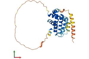 AlphaFold protein structure predicition of Human Recombinant BCL2L1 Protein, UniprotID Q07817
