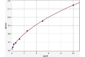 Typical standard curve (SULT2A1 Kit ELISA)