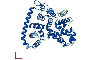 AlphaFold protein structure predicition of Human Recombinant TBC1D21 Protein, UniprotID Q8IYX1