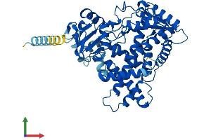 AlphaFold protein structure predicition of Human Recombinant CYP2C18 Protein, UniprotID P33260