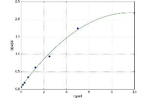 Matrix Gla Protein (MGP) ELISA Kit