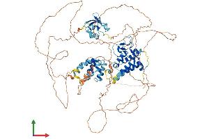 AlphaFold protein structure predicition of Human Recombinant SP140 Protein, UniprotID Q13342