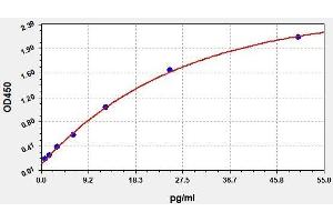 Endothelin 2 (EDN2) ELISA Kit