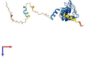 AlphaFold protein structure predicition of Mouse Recombinant Ankrd49 Protein, UniprotID Q8VE42