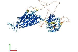 AlphaFold protein structure predicition of Human Recombinant SLC12A6 Protein, UniprotID Q9UHW9
