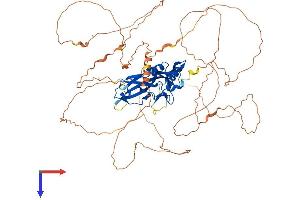 AlphaFold protein structure predicition of Human Recombinant EOMES Protein, UniprotID O95936