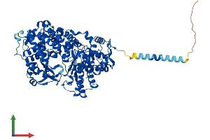 AlphaFold protein structure predicition of Human Recombinant PHEX Protein, UniprotID P78562