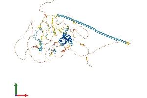 AlphaFold protein structure predicition of Mouse Recombinant Chaf1a Protein, UniprotID Q9QWF0