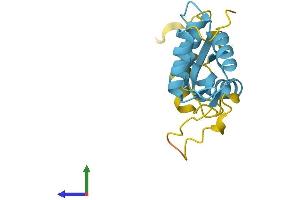 AlphaFold protein structure predicition of Human Recombinant RPL12 Protein, UniprotID P30050