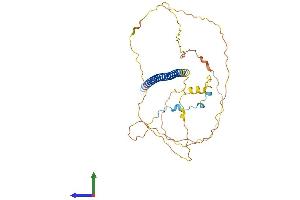 AlphaFold protein structure predicition of Mouse Recombinant Atf4 Protein, UniprotID Q06507