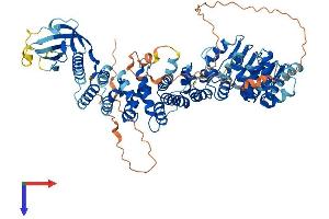 AlphaFold protein structure predicition of Human Recombinant CMIP Protein, UniprotID Q8IY22