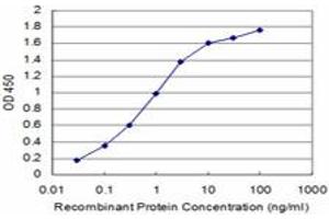 Detection limit for recombinant GST tagged TAOK3 is approximately 0. (TAO Kinase 3 anticorps  (AA 809-898))