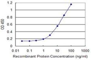Detection limit for recombinant GST tagged TCP11 is 0.