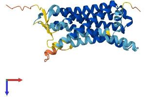 AlphaFold protein structure predicition of Human Recombinant OR2S2 Protein, UniprotID Q9NQN1