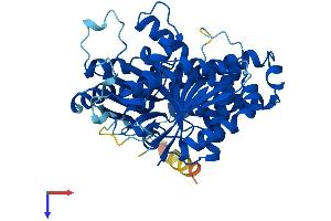 AlphaFold protein structure predicition of Human Recombinant TUBB4B Protein, UniprotID P68371