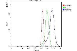 anti-Heat Shock 70kDa Protein 6 (HSP70B') (HSPA6) (AA 516-643) antibody