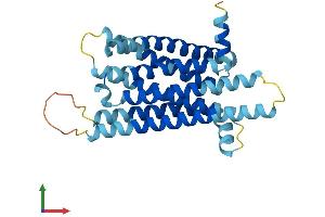 AlphaFold protein structure predicition of Human Recombinant TAS2R4 Protein, UniprotID Q9NYW5