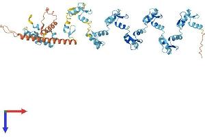 AlphaFold protein structure predicition of Human Recombinant ZNF90 Protein, UniprotID Q03938