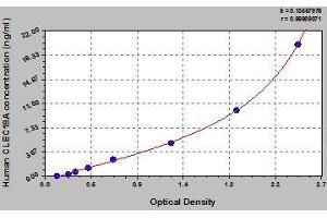 Typical standard curve (CLEC18A Kit ELISA)