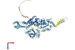 AlphaFold protein structure predicition of Human Recombinant MSH5 Protein, UniprotID O43196