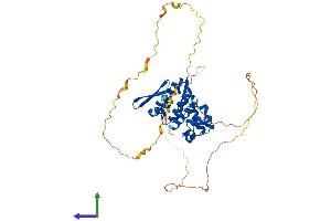 AlphaFold protein structure predicition of Human Recombinant SCML4 Protein, UniprotID Q8N228