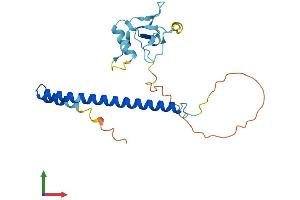 AlphaFold protein structure predicition of Human Recombinant THAP6 Protein, UniprotID Q8TBB0