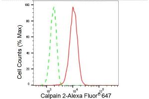 Flow cytometric analysis of Calpain 2 expression in HT- cells using Calpain 2 antibody (ABIN7797847), 1:2,000). (Recombinant Calpain 2 anticorps)