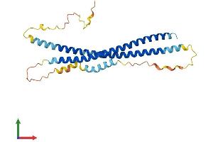AlphaFold protein structure predicition of Mouse Recombinant Snap29 Protein, UniprotID Q9ERB0