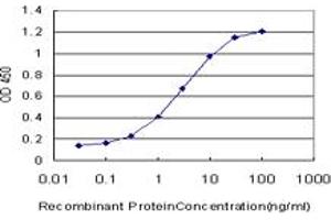 Detection limit for recombinant GST tagged MGC13096 is approximately 0. (PDCD2L anticorps  (AA 80-179))