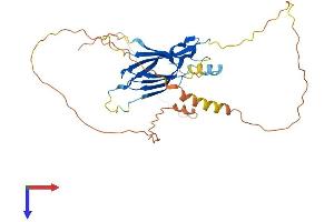 AlphaFold protein structure predicition of Mouse Recombinant Fndc8 Protein, UniprotID Q9D2H8