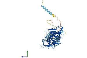 AlphaFold protein structure predicition of Mouse Recombinant B4galnt1 Protein, UniprotID Q09200