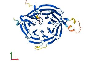 AlphaFold protein structure predicition of Human Recombinant WDR45 Protein, UniprotID Q9Y484