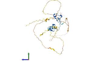 AlphaFold protein structure predicition of Human Recombinant ZFP36L1 Protein, UniprotID Q07352