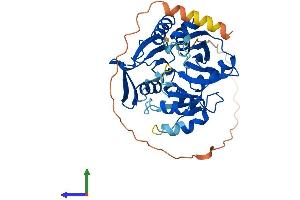 AlphaFold protein structure predicition of Mouse Recombinant Rimklb Protein, UniprotID Q80WS1