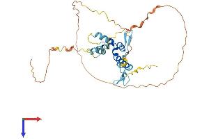AlphaFold protein structure predicition of Human Recombinant SPRY2 Protein, UniprotID O43597