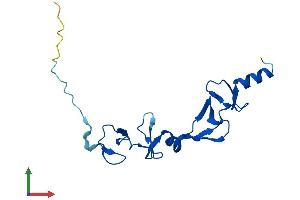 AlphaFold protein structure predicition of Mouse Recombinant Lmo2 Protein, UniprotID P25801